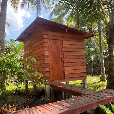 Coco Cabins By Thush Bentota Exterior foto